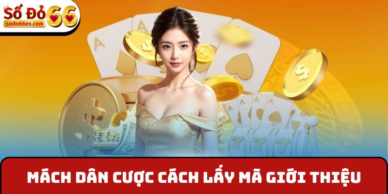 Bao Nhiêu Bạn Bấy Nhiêu Quà - Giá Trị Khủng Tại Sodo66 3 Mách dân cược cách lấy mã giới thiệu