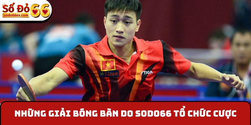 Những giải bóng bàn do Sodo66 tổ chức cược