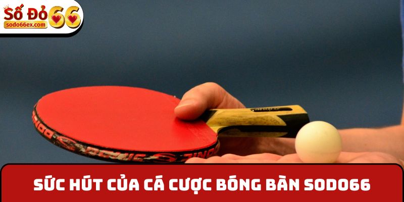 Sức hút của cá cược bóng bàn Sodo66