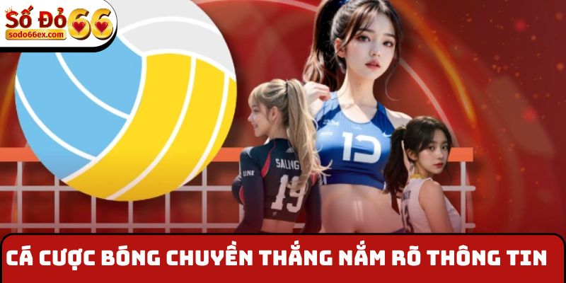 Cá cược bóng chuyền thắng nắm rõ thông tin