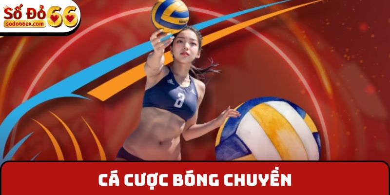 cá cược bóng chuyền