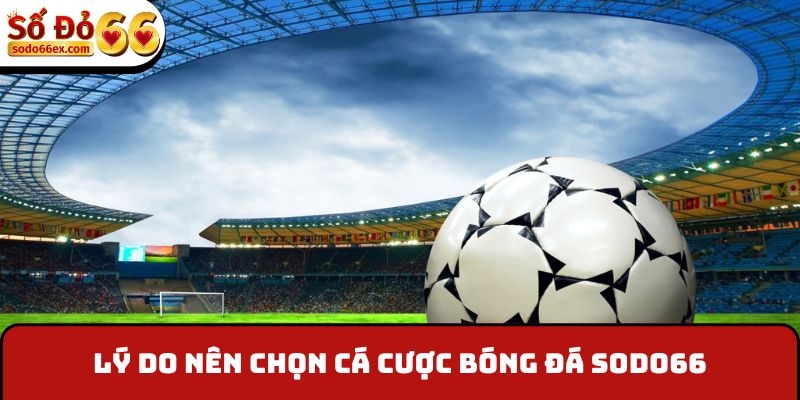 Lý do nên chọn cá cược bóng đá Sodo66