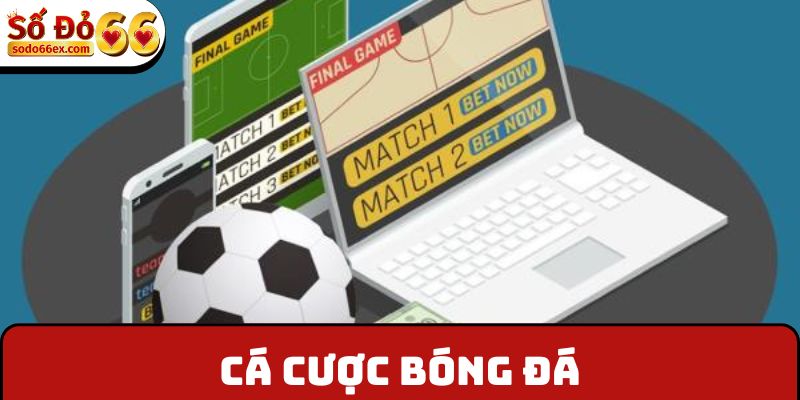Cá cược bóng đá