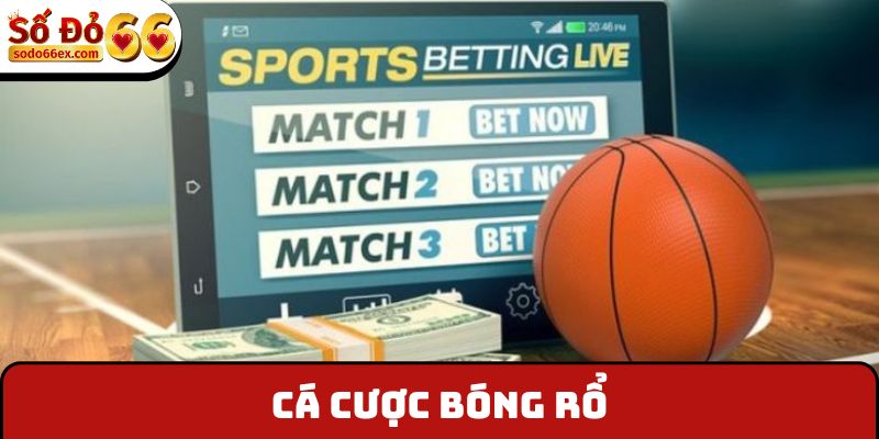 Cá cược bóng rổ