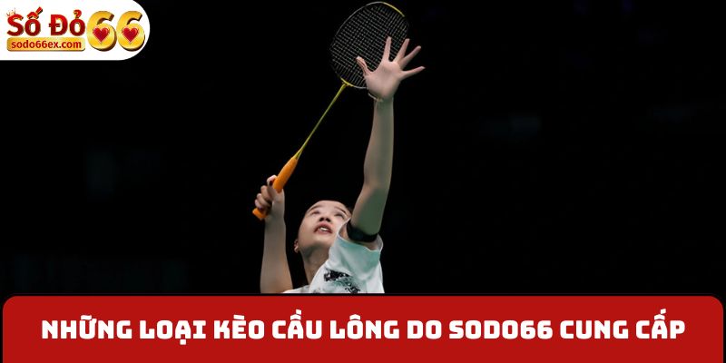 Những loại kèo cầu lông do Sodo66 cung cấp