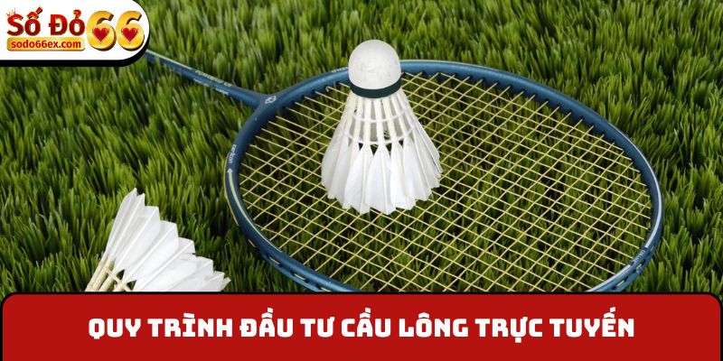 Quy trình đầu tư cầu lông trực tuyến