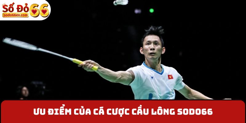 Ưu điểm của cá cược cầu lông Sodo66