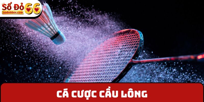 Cá cược cầu lông