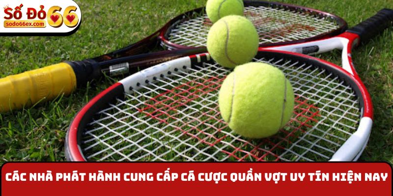 Các nhà phát hành cung cấp cá cược quần vợt uy tín hiện nay