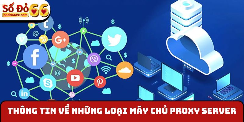 Thông tin về những loại máy chủ Proxy Server