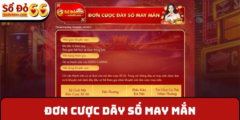 Đơn cược dãy số may mắn