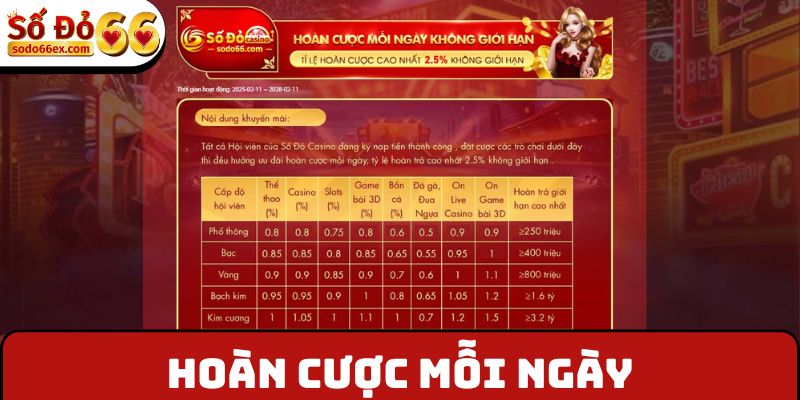 Hoàn cược mỗi ngày