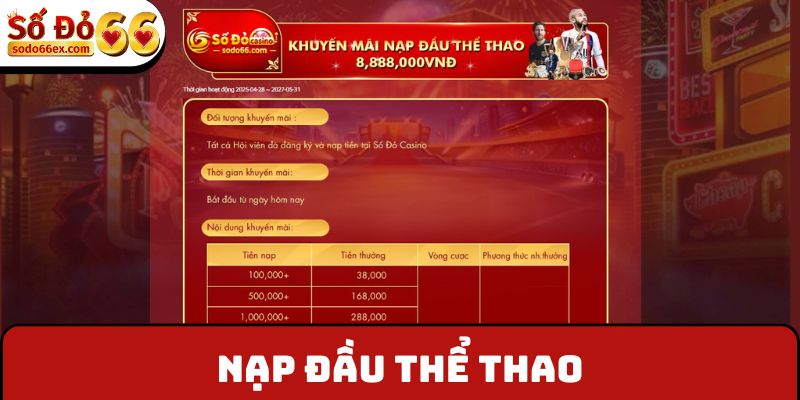 Nạp đầu thể thao