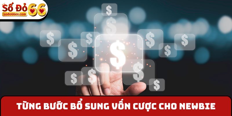 Từng bước bổ sung vốn cược cho newbie