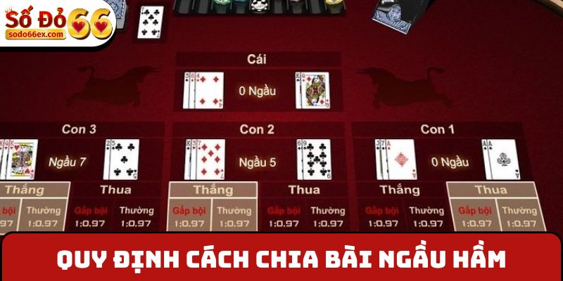 Ngầu Hầm - Hướng Dẫn Cách Chơi Chi Tiết Cho Người Mới 3 Quy định cách chia bài Ngầu Hầm