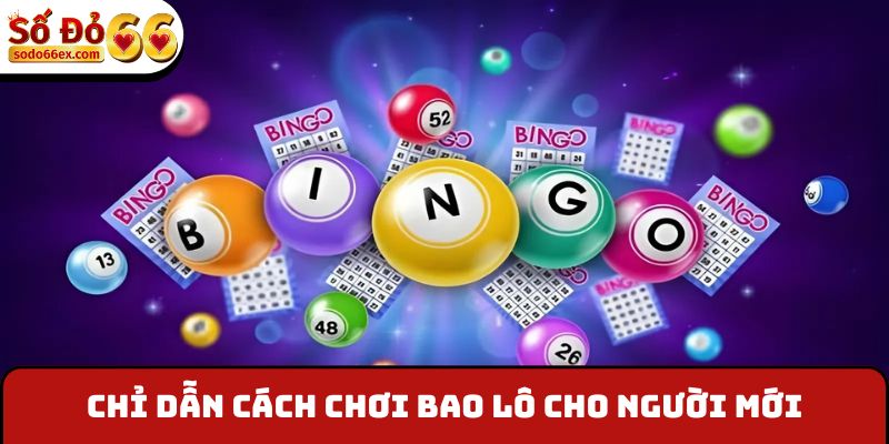 Chỉ dẫn cách chơi bao lô cho người mới