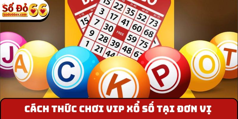 Cách thức chơi VIP xổ số tại đơn vị